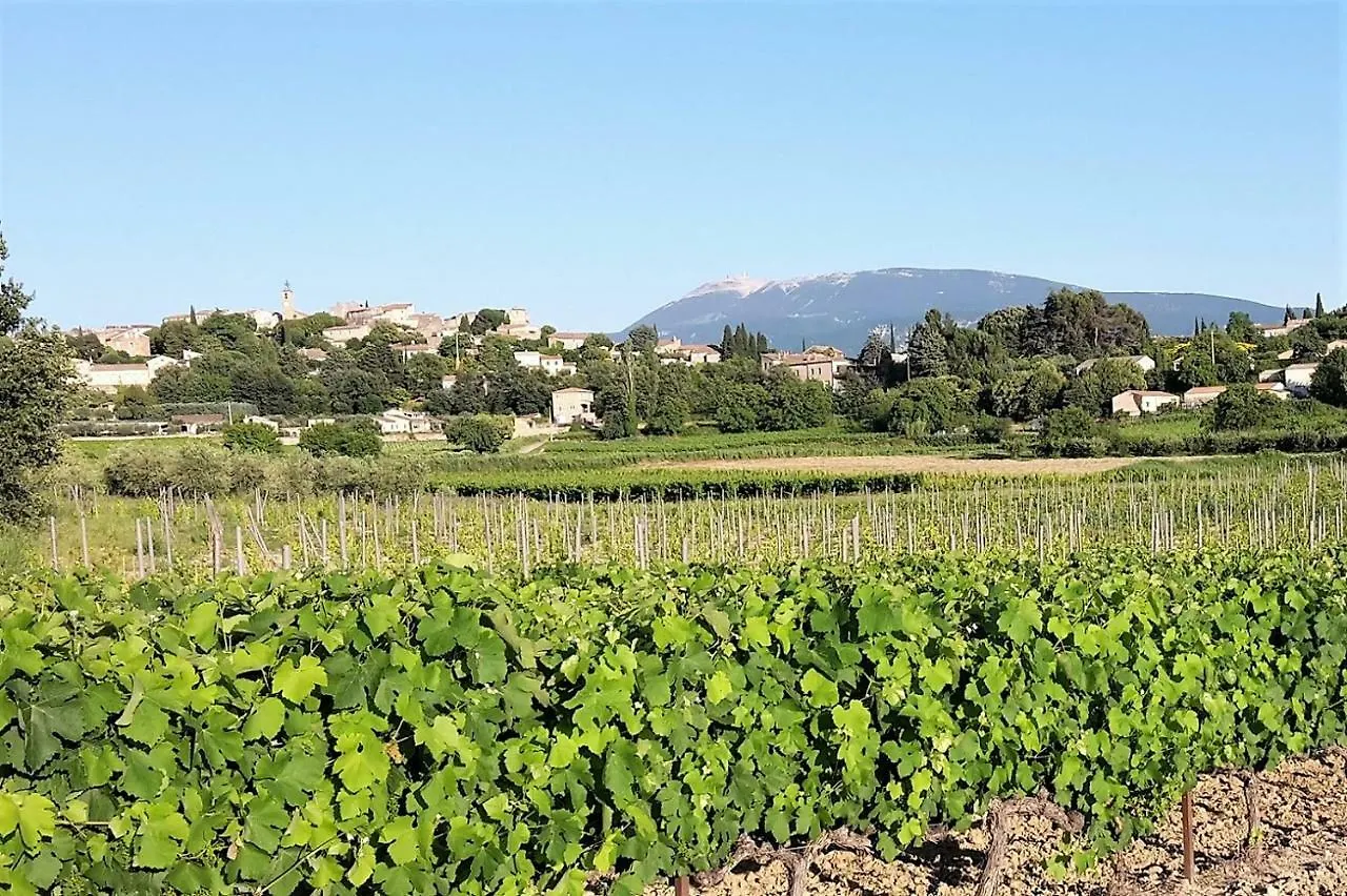 Villa Du Petit Bois Faucon  Apartment Faucon (Vaucluse)